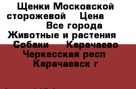Щенки Московской сторожевой  › Цена ­ 25 000 - Все города Животные и растения » Собаки   . Карачаево-Черкесская респ.,Карачаевск г.